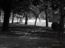 Andocsi park