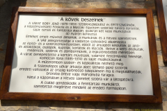 Bory vár