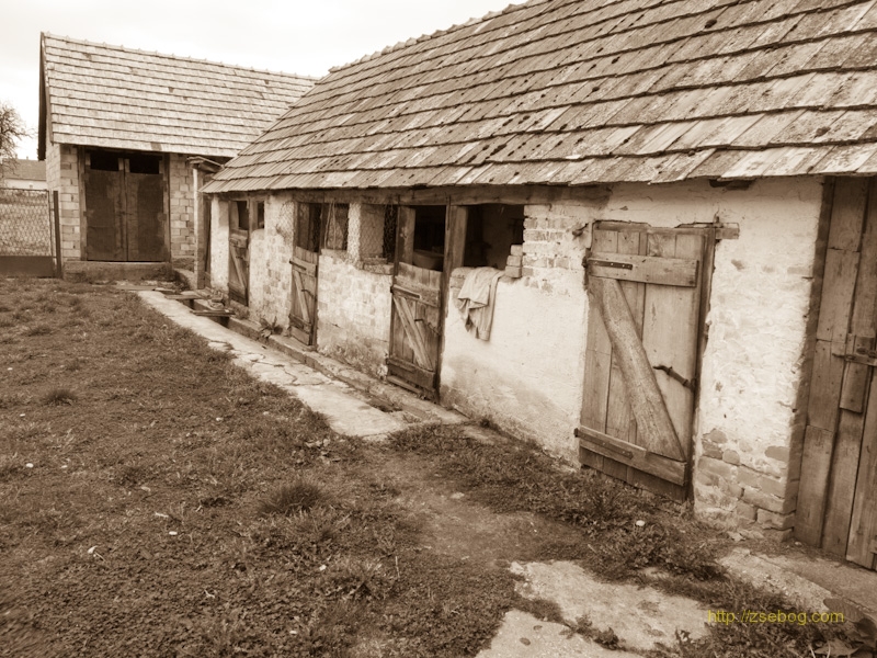 Parasztház hátsó udvara