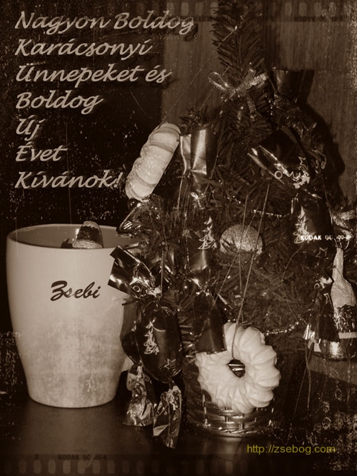 BKBUEK_2009